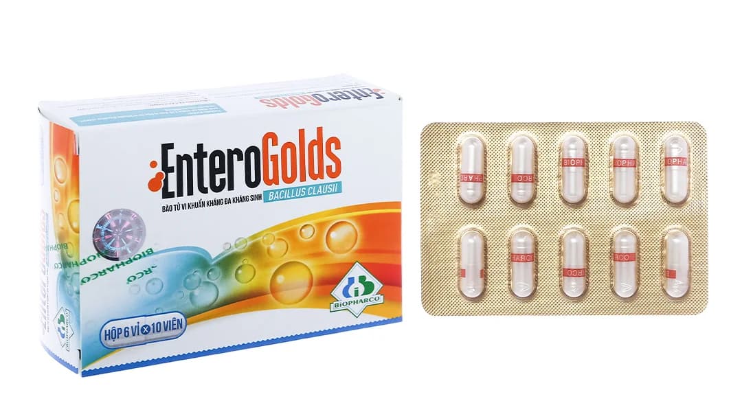 Viên nang EnteroGolds (6 vỉ x 10 viên)