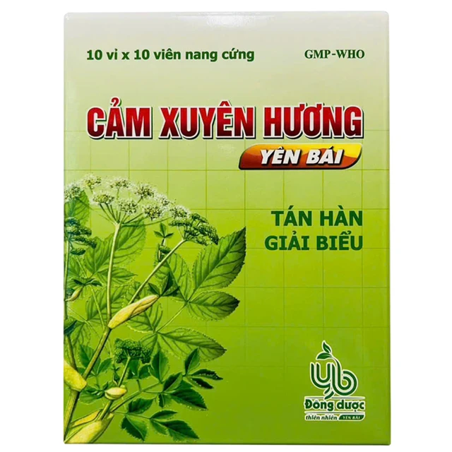 Thuốc Cảm Xuyên Hương Yên Bái (10 vỉ x 10 viên)
